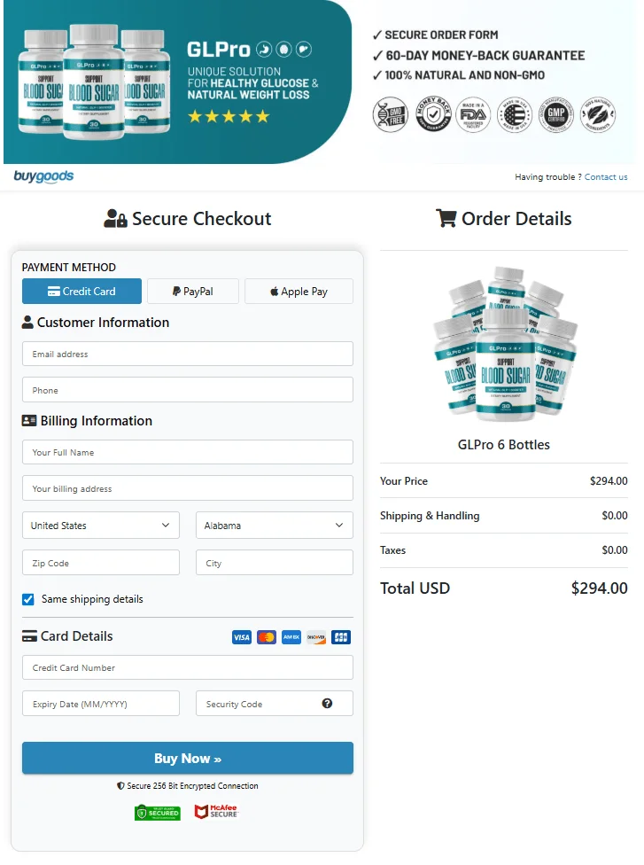 Secure checkout process with encrypted payment for safe online ordering